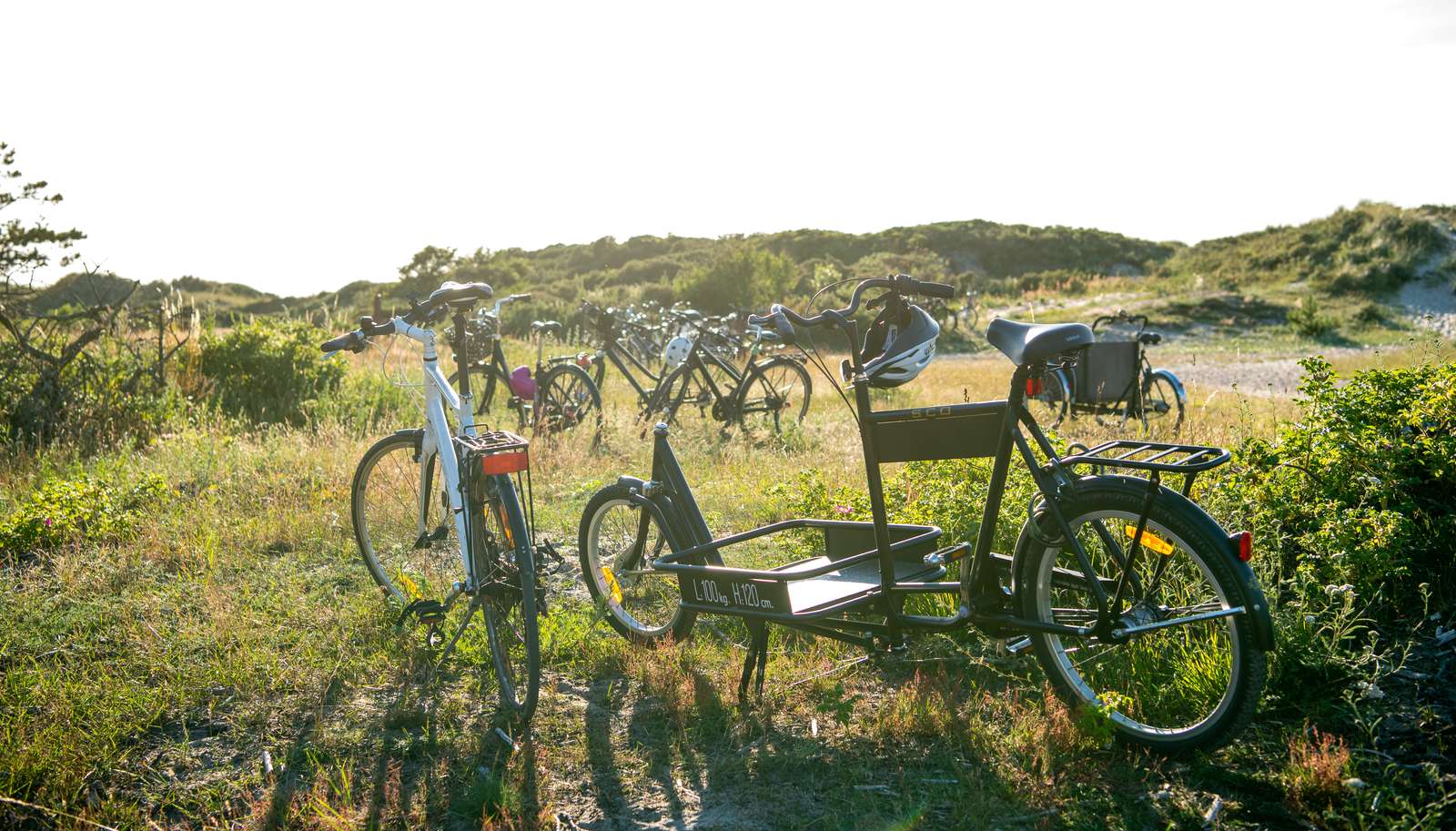 Fahrradtour im Isefjord auf Seeland Dänemark
